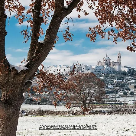 Il Casolare Di Nonno Antonio Holiday home La Correggia
